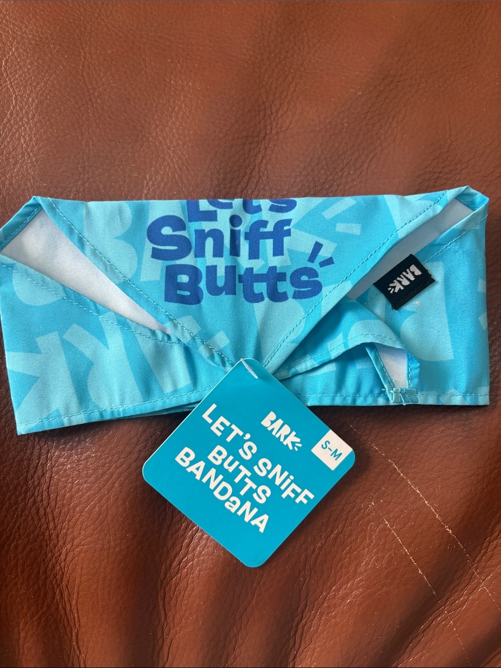Bark Box Blue "Let's Sniff Butts" Dog Bandana